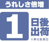 スピード名刺印刷